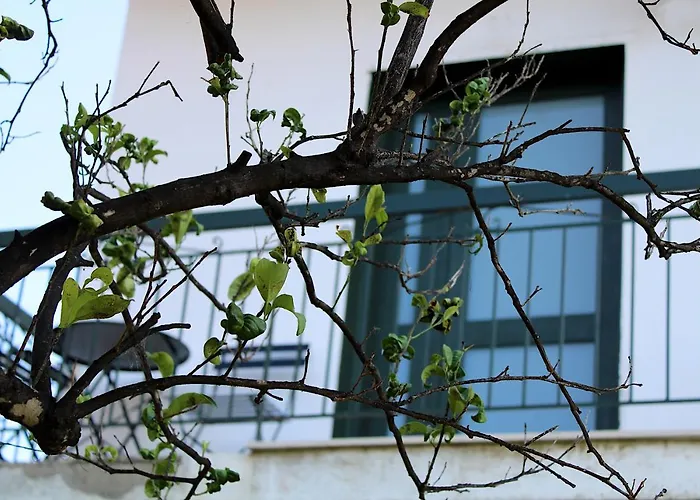 Apartament Choe House