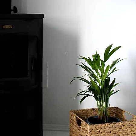Choe House Apartamento