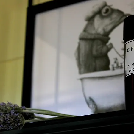 公寓 Choé House Kanakádes