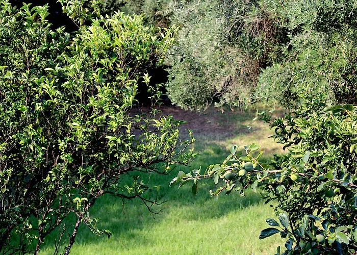 Choe House Apartamento