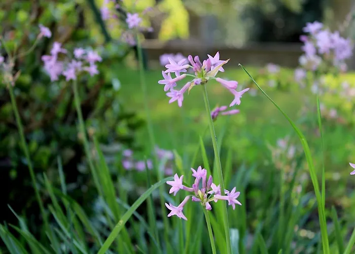 Apartamento Choe House *