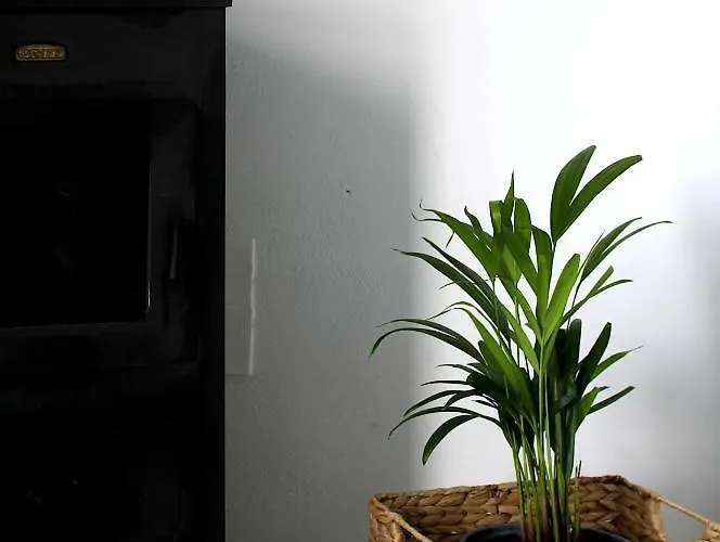 Choe House Apartment